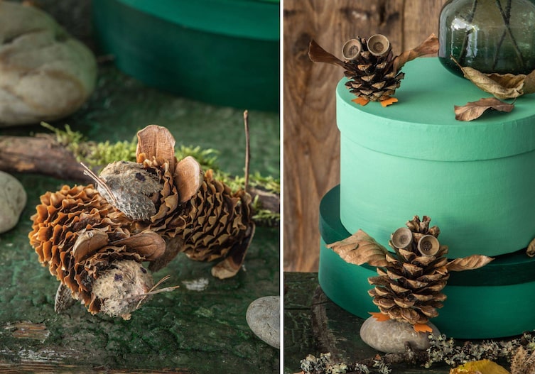 Zapfenmäuse, Zapfeneulen sind auf Rinden und Moos drapiert