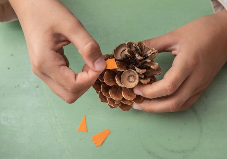 Zapfeneule mit Augen aus Eichelköpfen und Papierschnabel und Papierbeinchen