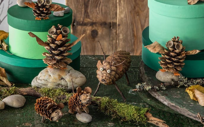 Altes Holzbrett mit grünen, runden Papierschachteln, Steinen, Rindenstücken und Moos und Flechten. Darauf sind die Zapfentiere (Mäuse, Eulen, Hirsch) in Szene gesetzt.