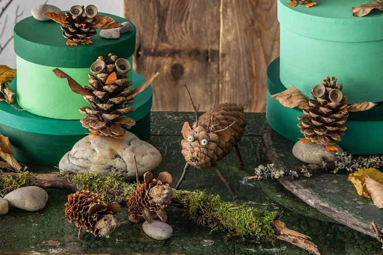 Altes Holzbrett mit grünen, runden Papierschachteln, Steinen, Rindenstücken und Moos und Flechten. Darauf sind die Zapfentiere (Mäuse, Eulen, Hirsch) in Szene gesetzt.