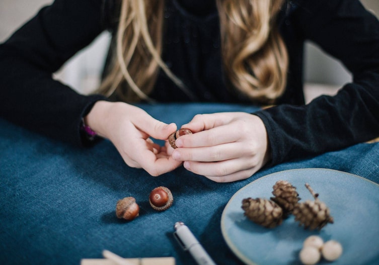 Kinderhände, die die Eichelkappe von der Eichel lösen.