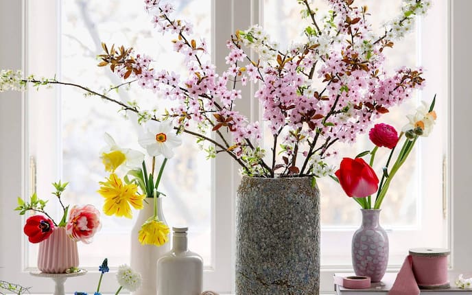 Deko mit Schnittblumen, Frühlingblumen, Narzissen, Tulpen, Ranunkel, verschiedene Blumenvasen, Fenster