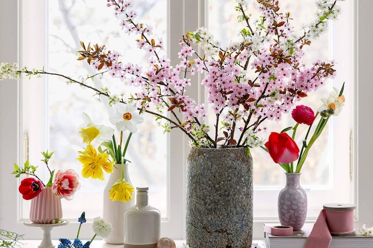 Deko mit Schnittblumen, Frühlingblumen, Narzissen, Tulpen, Ranunkel, verschiedene Blumenvasen, Fenster