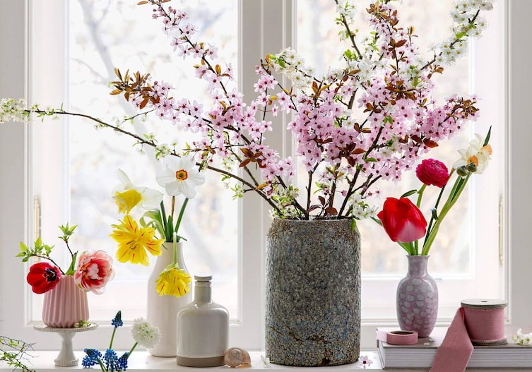 Deko mit Schnittblumen, Frühlingblumen, Narzissen, Tulpen, Ranunkel, verschiedene Blumenvasen, Fenster