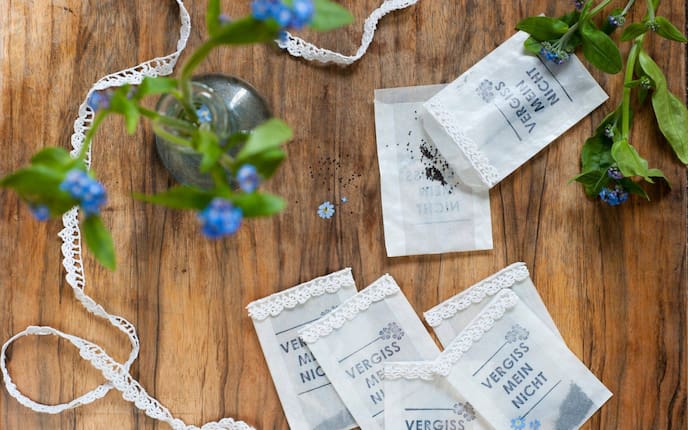Kleine Papiersackerl auf denen Vergiss mein nicht steht - darin sind Samen vom Vergissmeinnicht. 7 Sackerl liegen auf dem Tisch, eines ist offen und die Samen liegen auf dem dunklem Holz, daneben steht eine kleine Blumenvase mit Vergissmeinnicht und die Blumen liegen auch am Tisch. Die Sackerl sind mit einem gehäkeltem Band verziert, das Bind liegt auch am Tisch