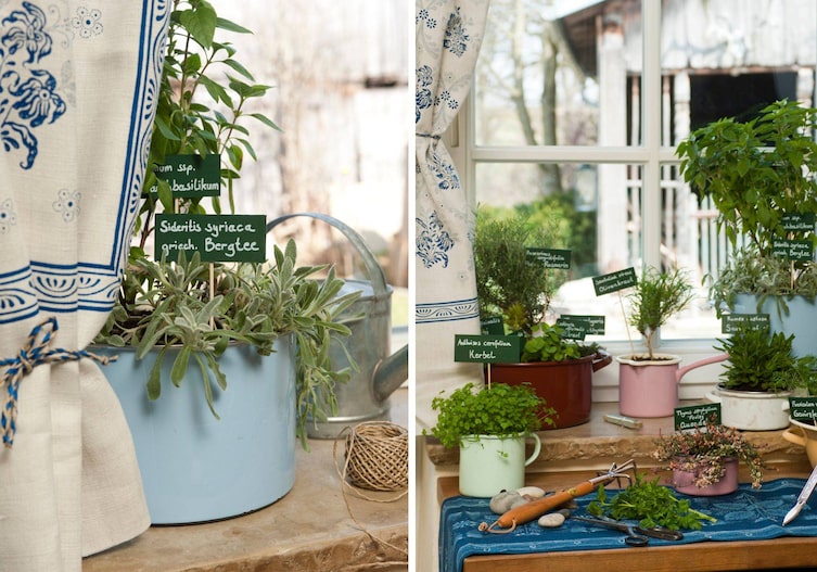 Emailtöpfe mit unterschiedlichen eingesetzten Kräutern stehen am Fensterbrett.