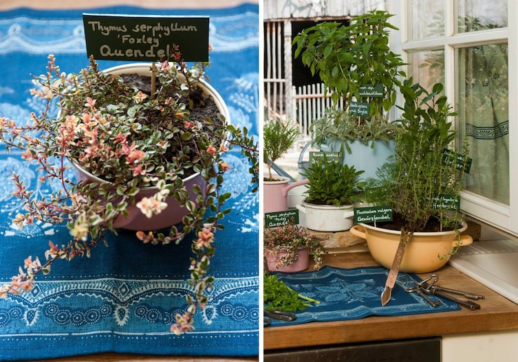 Verschiedene Kräuter in unterschiedliche Emailtöpfe eingesetzt, mit Namenschildchen. Alles steht am Fensterbrett bei offenem Fenster