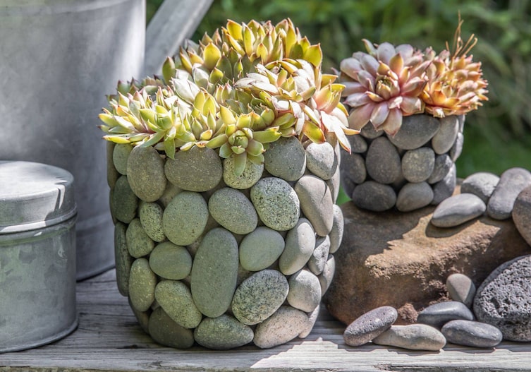 Blumentopf mit grauen Kieselsteinen beklebt. In die Töpfe sind Sukkulenten gesetzt.
