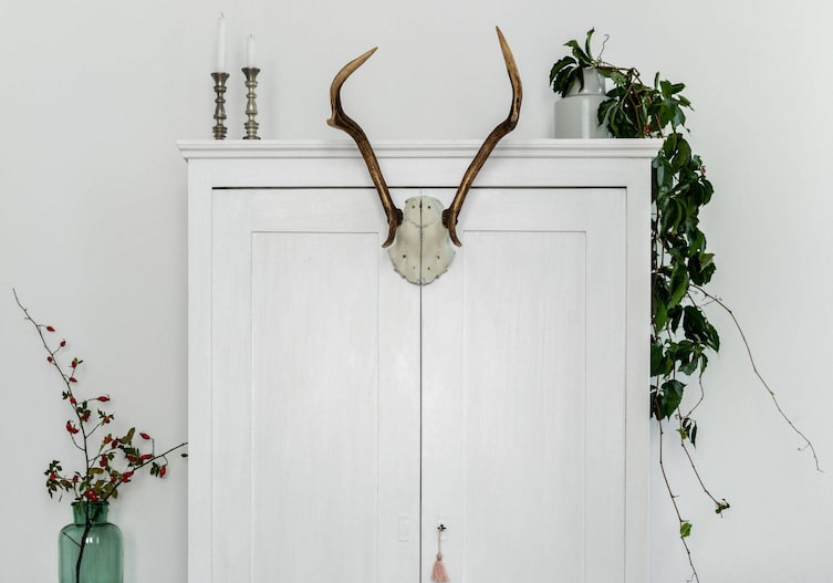 weißer Schrank, Hirschgeweih, Deko, Schrank-Deko
