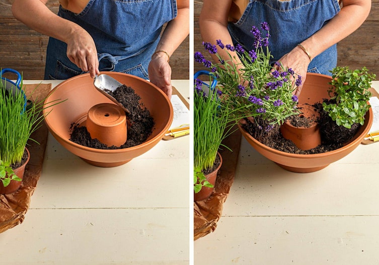 Tontöpfe, die unterschiedliche Größen haben werden ineinandergestellt und mit Erde befüllt und mit Oregano und Lavendel bepflanzt.