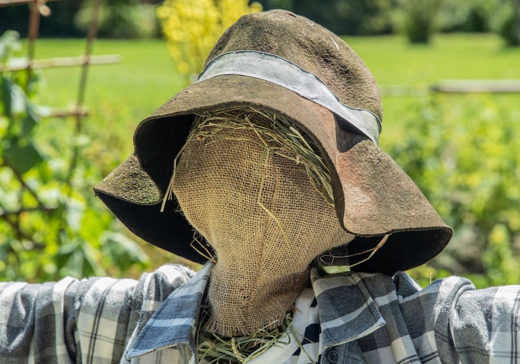 Kopf der Vogelscheuche mit einem Jutesack und Stroh, auf dem Sack sitzt ein alter Filzhut.