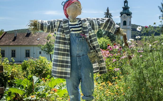 Eine Vogelscheuche mit karierter grau-weißer Jacke mit Latzhose aus Jeans, gestreiftes T-Shirt, einem roten Tuch auf dem Kopf und einen blauen Emailletopf steht mitten in einem blühenden und grünem Bauernkgarten. Im Hintergrund ist ein altes Haus und ein Kirchturm zu sehen. Es ist offensichtlich am Land.