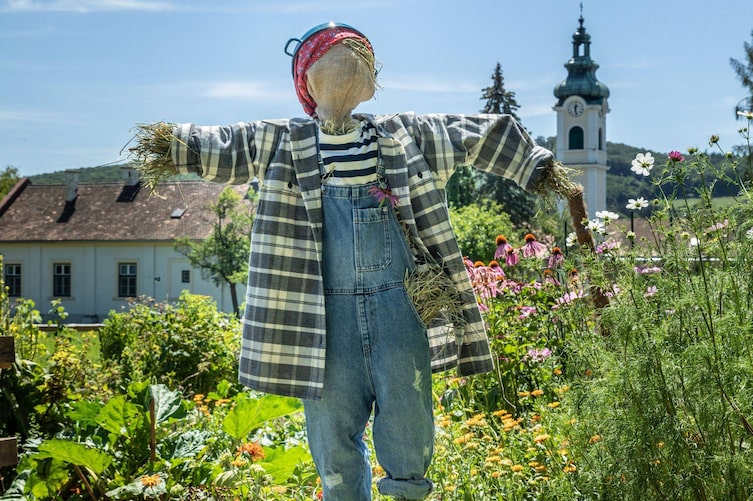 Eine Vogelscheuche mit karierter grau-weißer Jacke mit Latzhose aus Jeans, gestreiftes T-Shirt, einem roten Tuch auf dem Kopf und einen blauen Emailletopf steht mitten in einem blühenden und grünem Bauernkgarten. Im Hintergrund ist ein altes Haus und ein Kirchturm zu sehen. Es ist offensichtlich am Land.