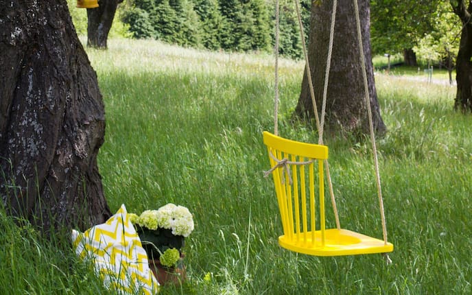 Sommerwiese mit alten Bäumen. Auf einem Baum ist ein alter gelber Holzsessel ohne Beine auf Seilen auf einem Ast als Schaukel aufgehängt.