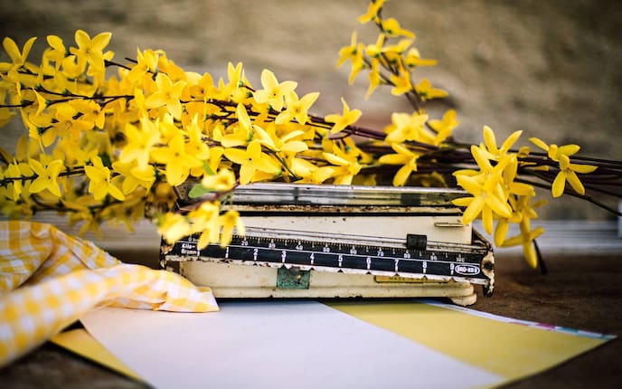 Forsythien, Frühlingsblumen, Deko, Blumen-Deko, alte Waage