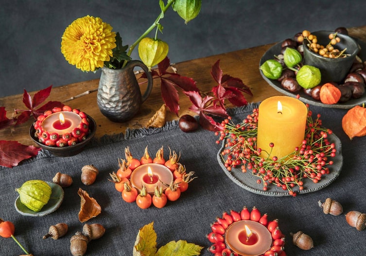 Herbstdeko Naturmaterialien bastel, Hagebutten, Lampionblumen, Kastanien, Eicheln, Stumpenkerzen, Teelichter, Dhalien