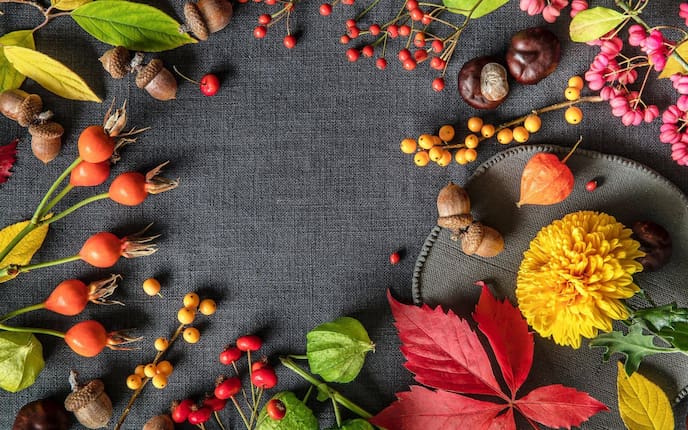 Herbstdeko Naturmaterialien basteln, Eicheln, Kastanien, Wilder Wein, Dhalien, selbermachen