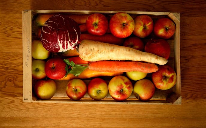 Äpfel, Karotten, Petersilwurzel, Rotkraut formschön in einer Holzkiste eingeschlichtet.