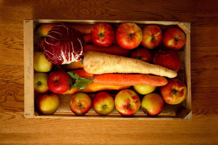 Äpfel, Karotten, Petersilwurzel, Rotkraut formschön in einer Holzkiste eingeschlichtet.