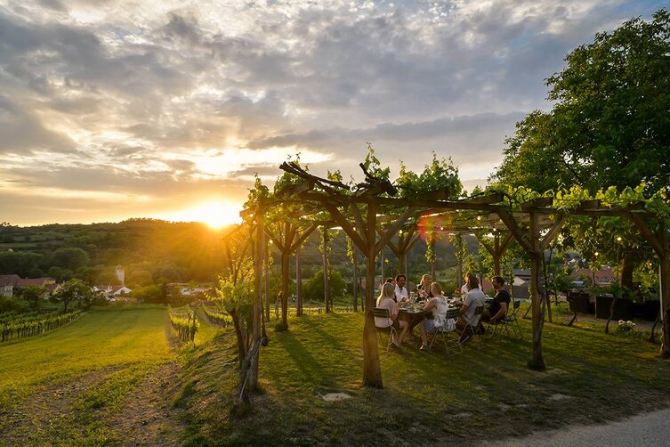 Unter rebenumrankten Lauben kann die Aussicht auf die Weinregion Kamptal genossen werden.