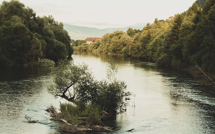 Blick auf die von Bäumen umgebene Mur