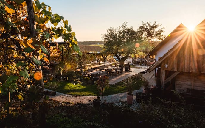 Ausflüge, Wirtshaus, Uhudlerei Mirth, Terrasse und Garten, Eltendorf, Burgenland