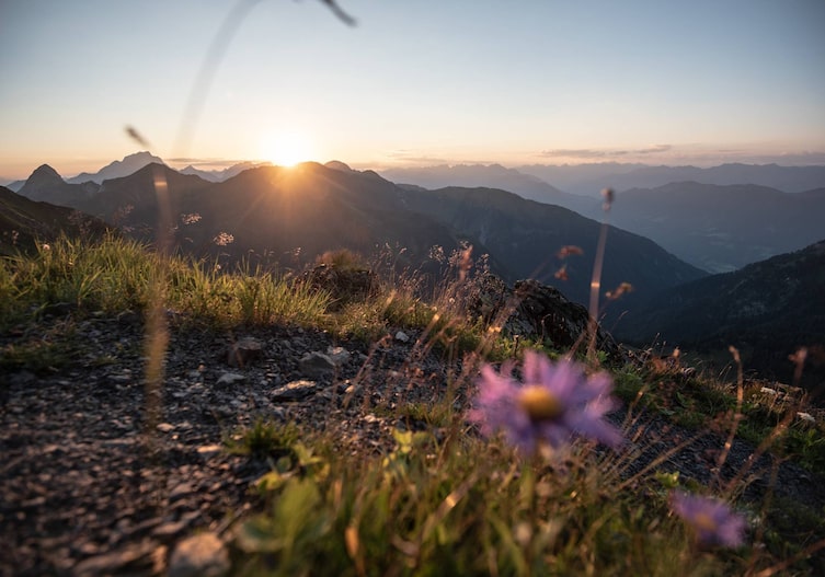 Ausflüge, Wirtshaus, Zollnerseehütte, Bergwelt, Dellach, Kärnten