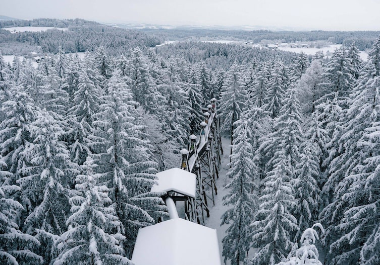 Luftaufnahme des verschneiten Baumkronenwegs der WaldEntdeckerWelt Kopfing, umgeben von schneebedeckten Nadelbäumen und weiter Winterlandschaft