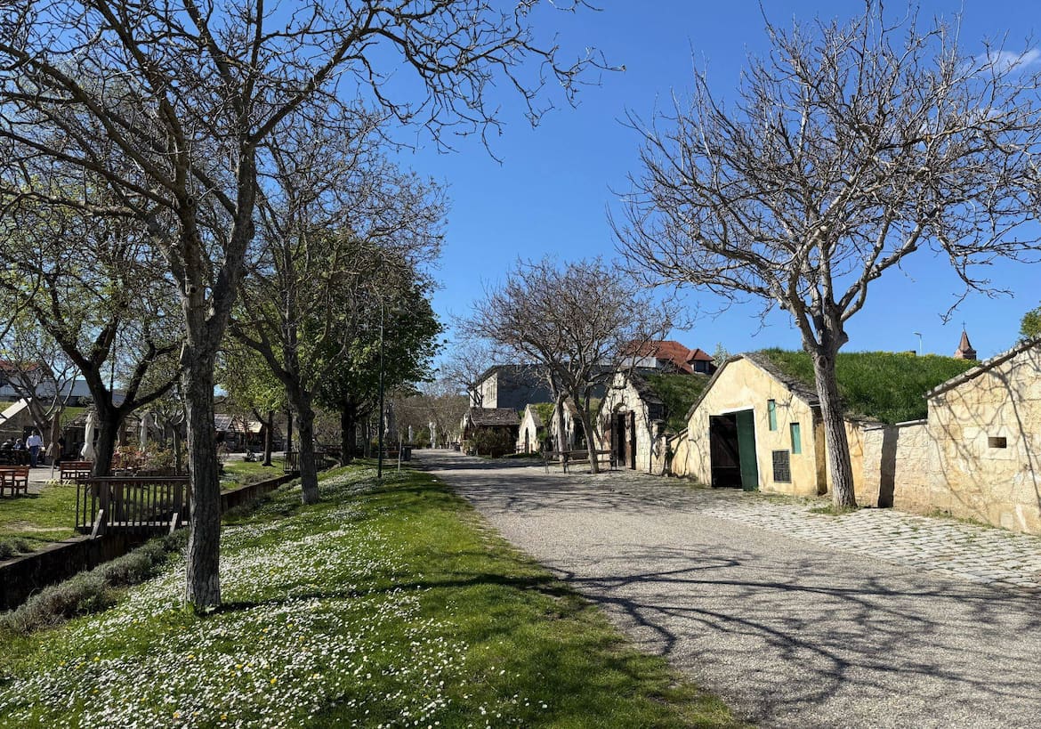 Historische Kellergasse in Purbach im Frühling