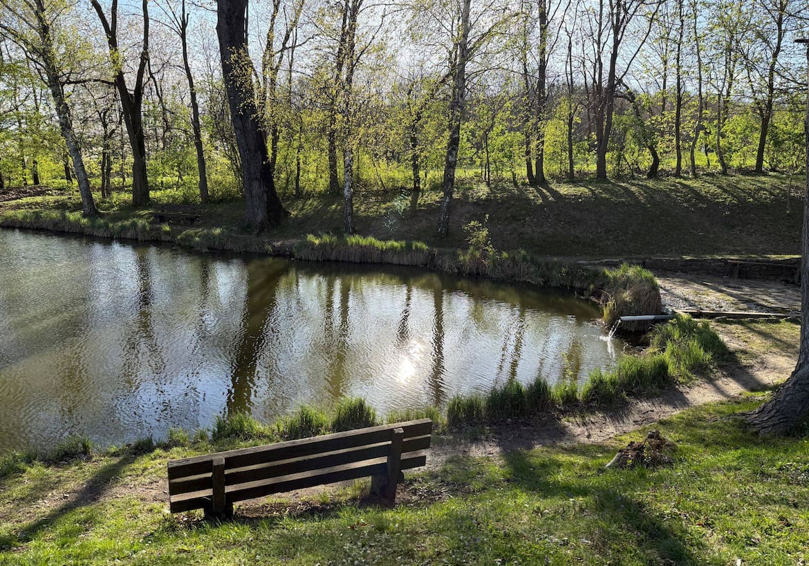 Ochsenbrunnen bei Jois. Kleiner Teich mit Holzbank bei Sonnenschein.