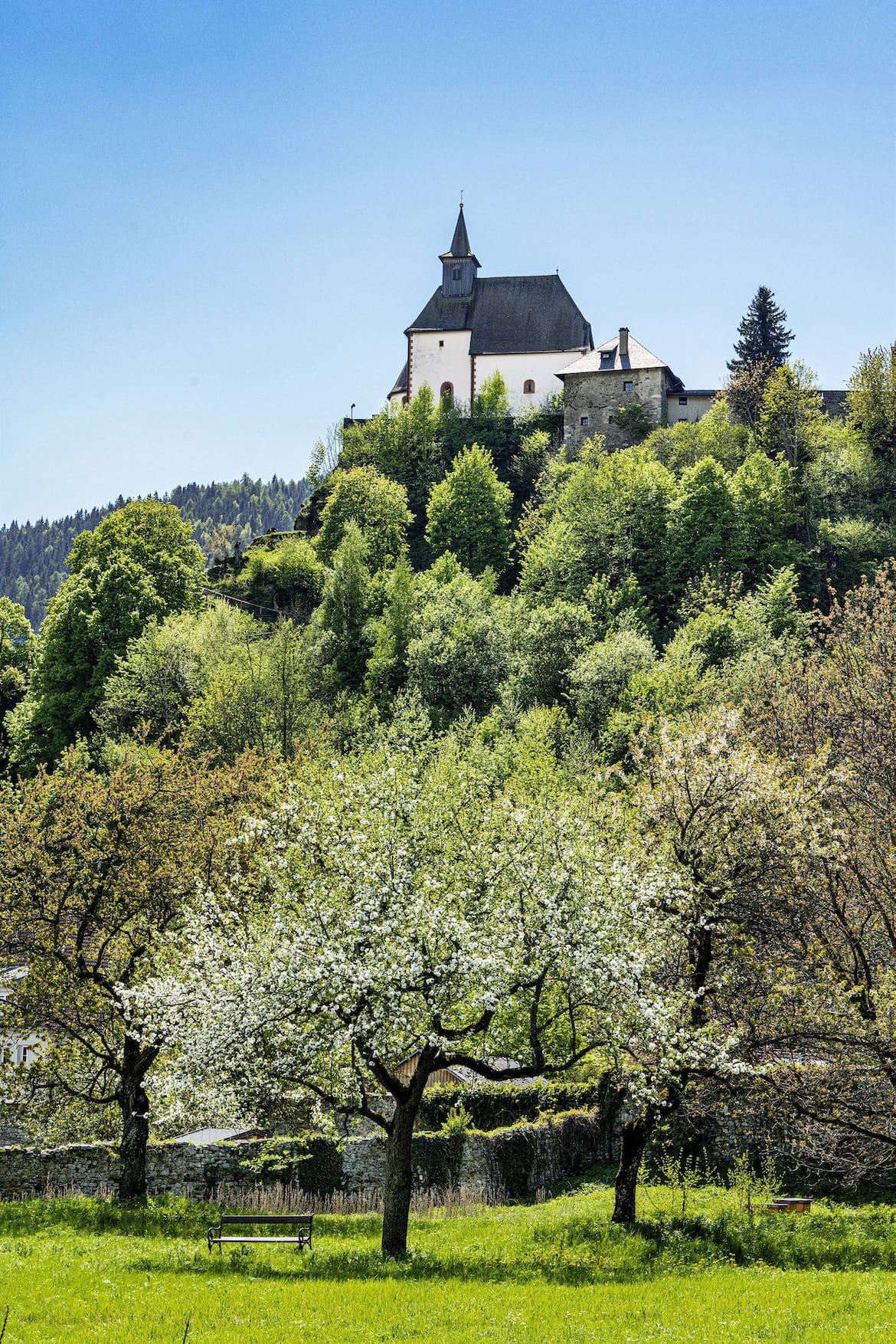 Auf der Spitze des Petersbergs liegt die Filialkirche der Stadtpfarrkirche.