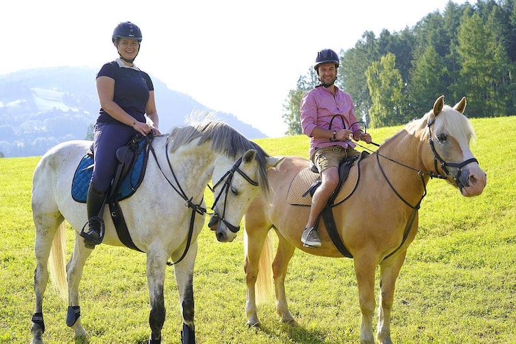 Zauneralm, Zauneralm im Naturpark Sölktal,