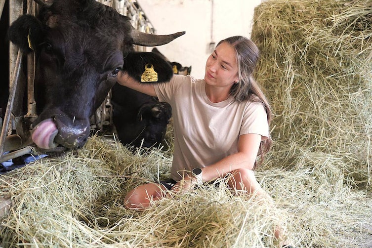 Hof Zehentmoar, Wagyu-Rinder