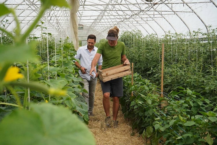 Gemüsebauer Toni Baldauf