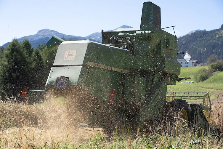 Serfaus Fiss Ladis, Ernte Fisser Imperial Gerste