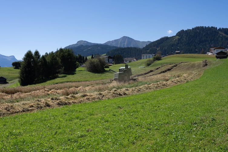 Serfaus Fiss Ladis, Fisser Imperial Gerste, Mähdrescher,