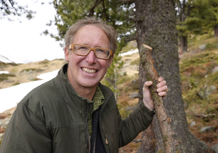 Tischler Mario Raich erntet Zirbenäste