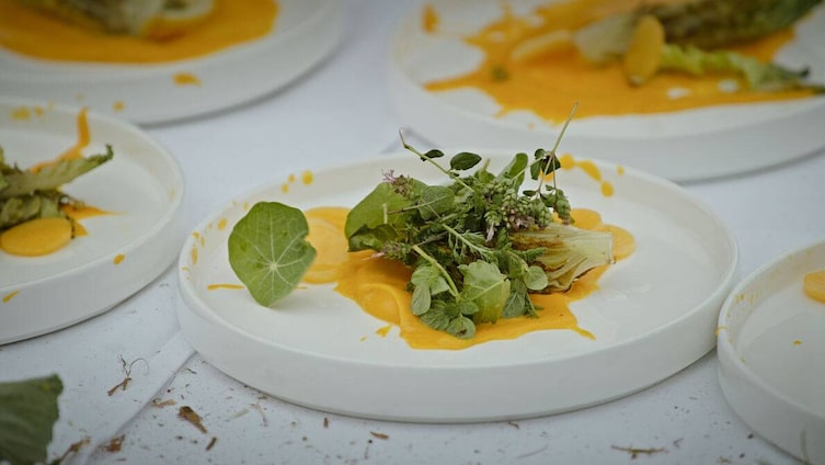 Wildkräutersalat, Mike Nährer, Artur Cisar-Erlach