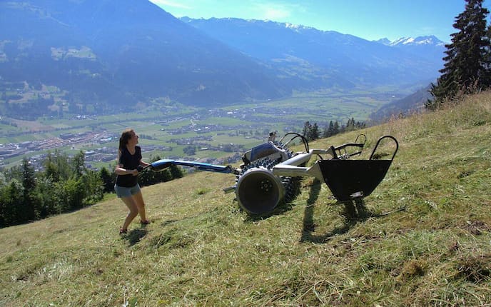 Heuernte, Magdalena Esterhammer, Heimatleuchten, Sommer im Bauernjahr