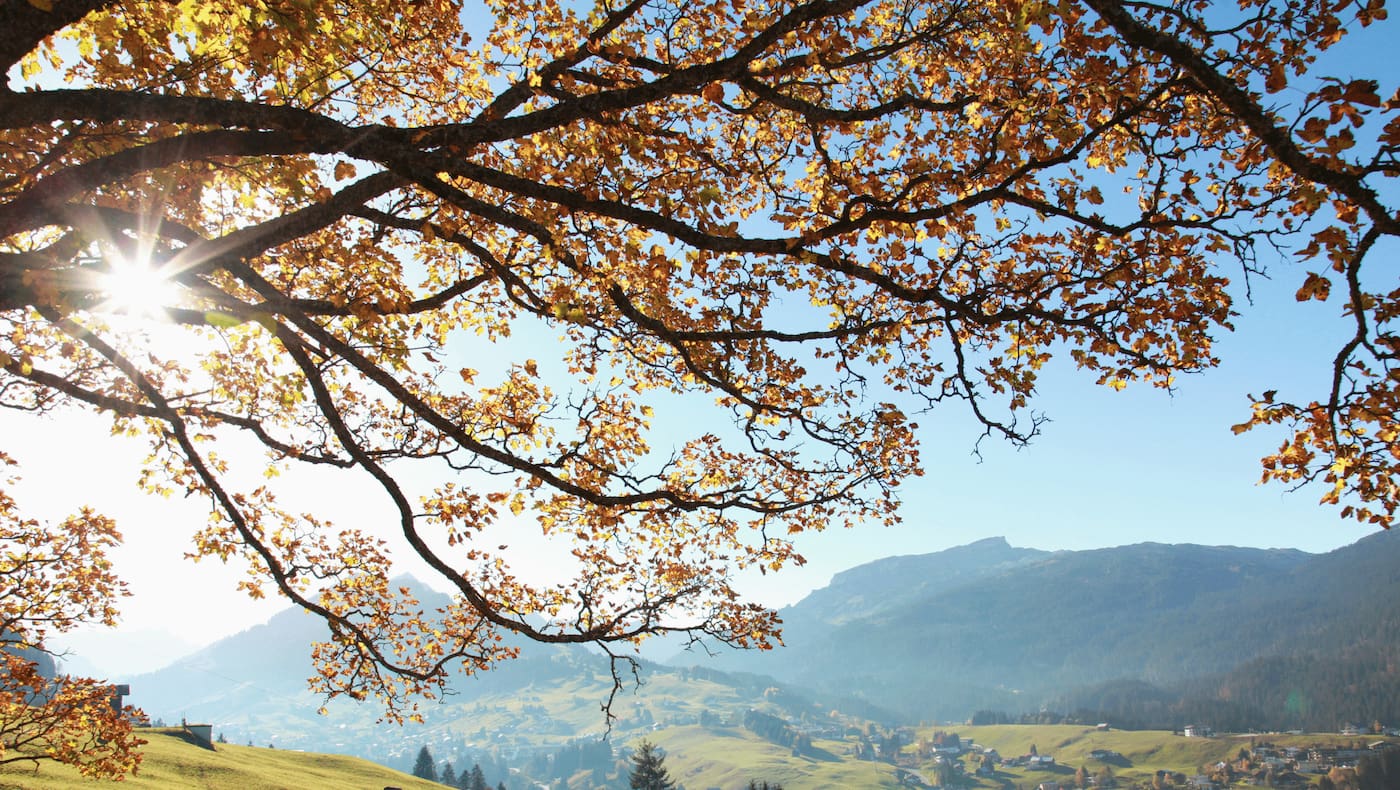 Die schönste Sackgasse der Welt: das Kleinwalsertal.