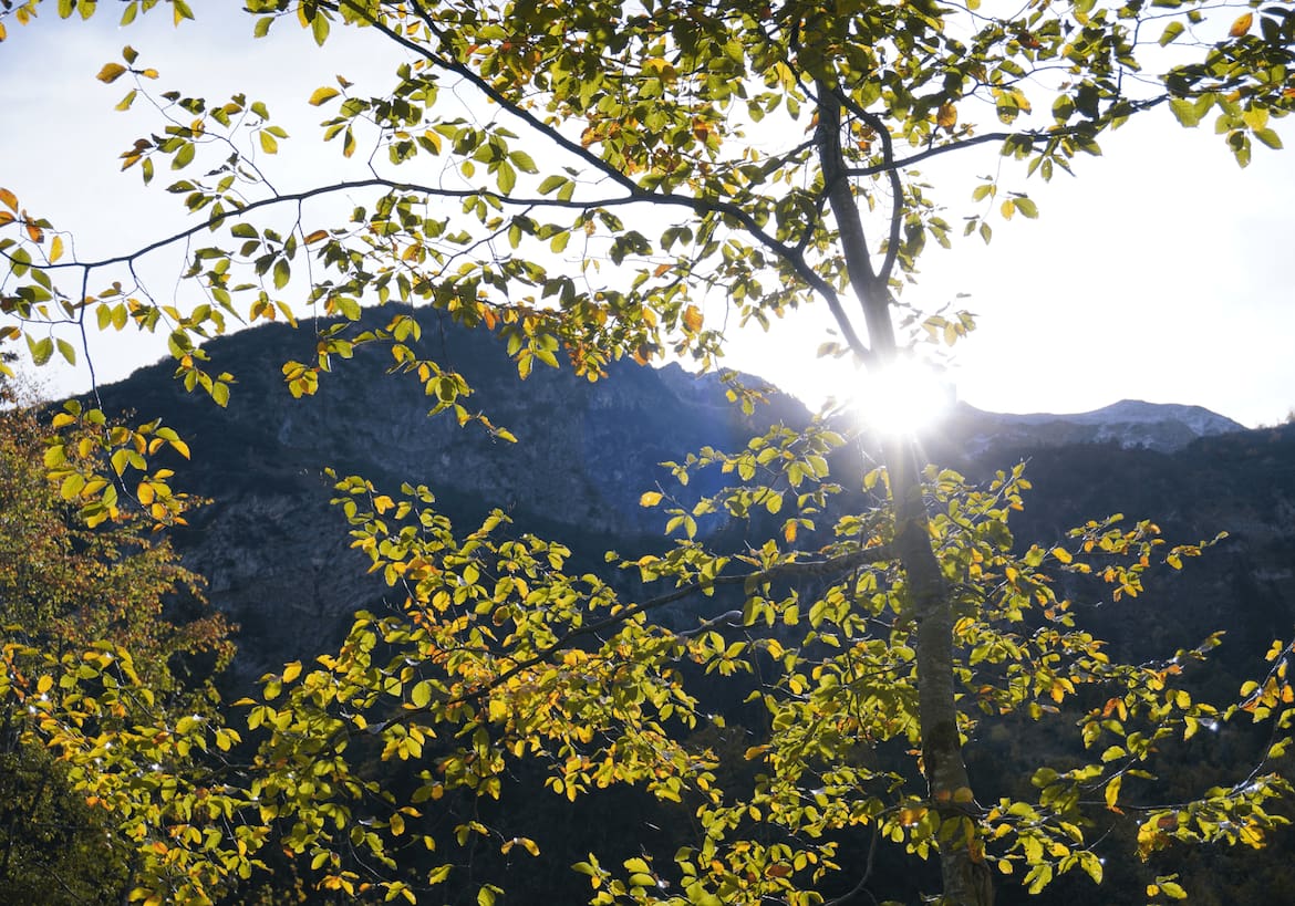 Der Herbst zeigt sich im Kleinwalsertal in seinen schönsten Farben.