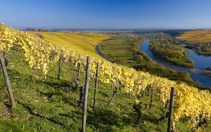 Mainschleife bei Volkach, Mainfranken, Bayern