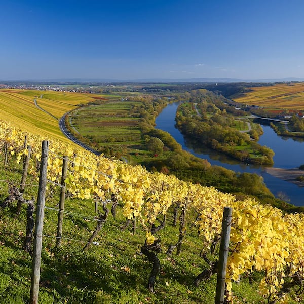 Mainschleife bei Volkach, Mainfranken, Bayern