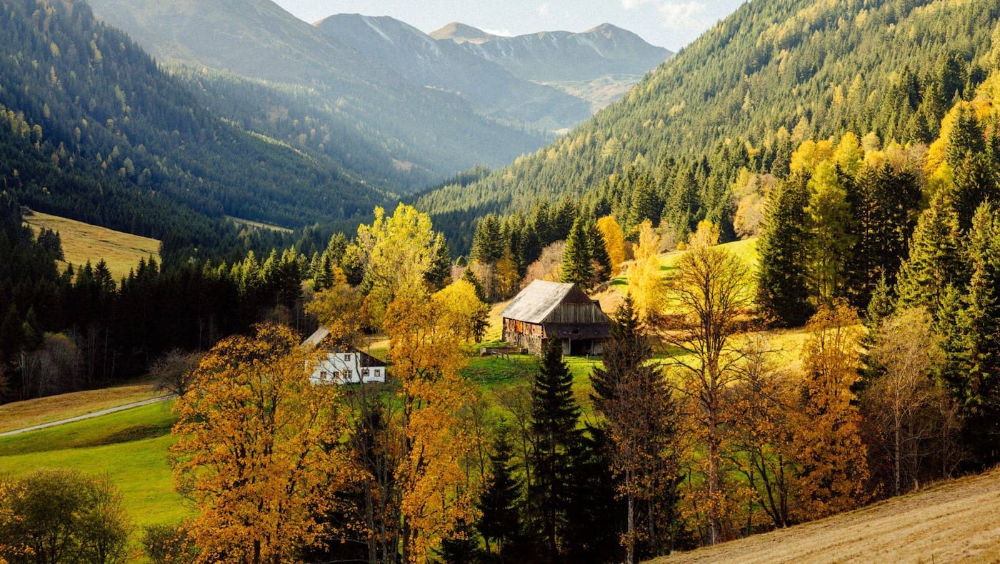 Z'HERBST im Murtal