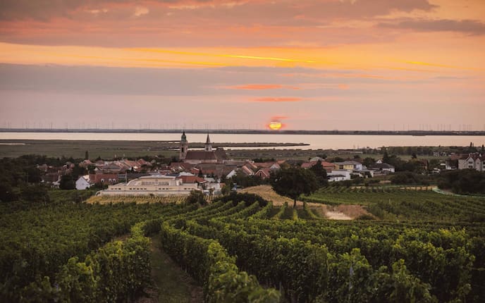 Abendsonne mit Blick über die Weinberge und den Neusiedlersee