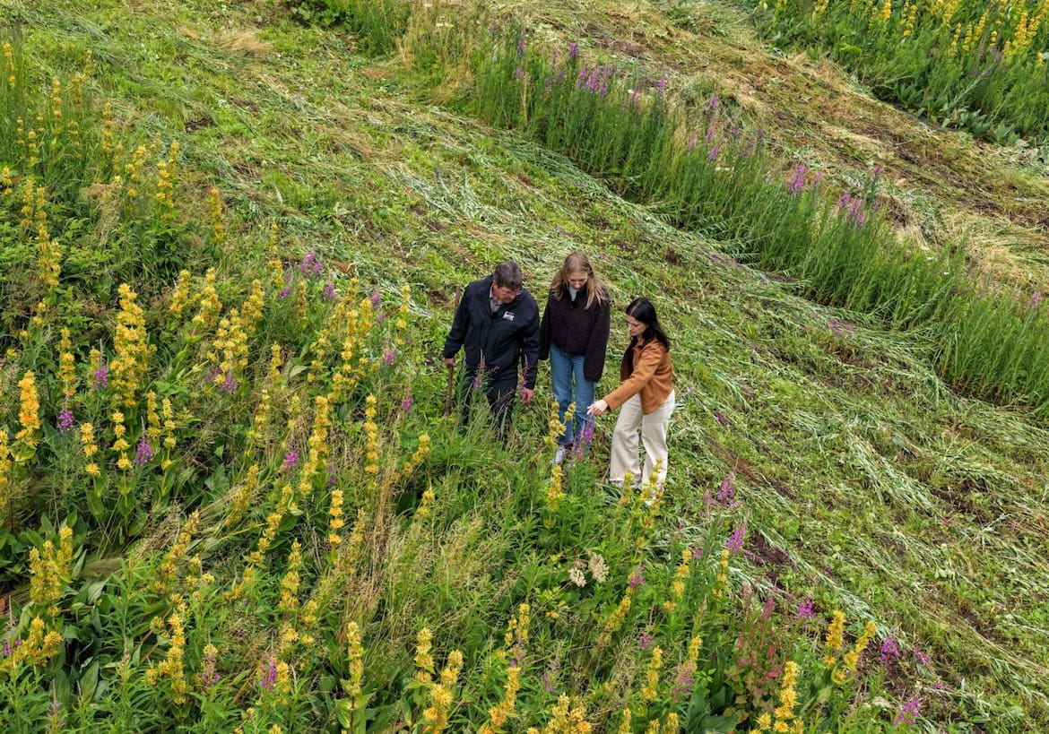 Schnapsbrenner Hermann Lorenz mit Sabrina Luger und Katharina Mitterlehner im Enzianfeld