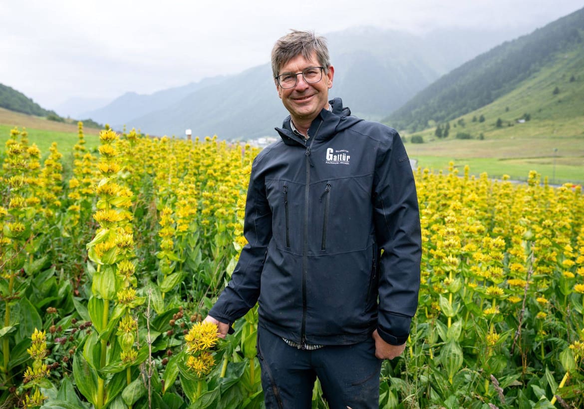 Schnapsbrenner Hermann Lorenz im Enzianfeld bei Galtür.