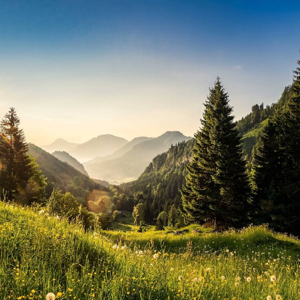 Ruhpolding Ausflugsziele, Ausflug Ruhpolding, Ruhpolding, Ausflugsziele Ruhpolding