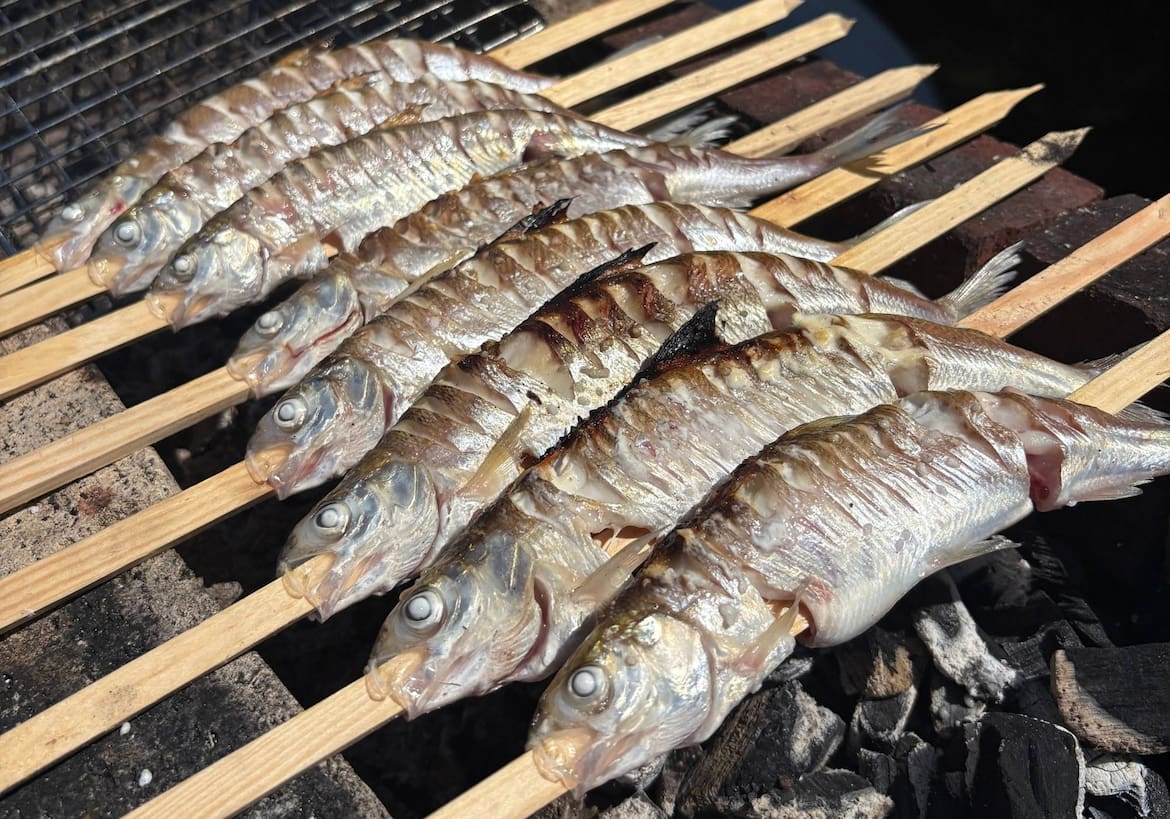 Stangerlfisch mit Riedling