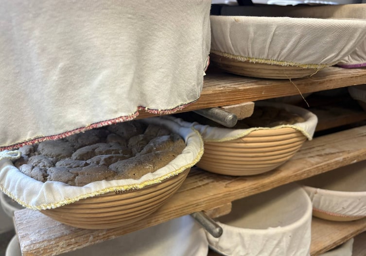 Teiglinge (nach der Gare) für das Holzofenbrot aus Roggenmehl